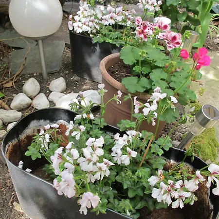 Avec Cour Exterieure Aux Portes De Paris *